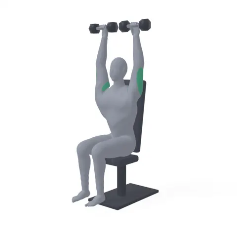 Arnold Press demo