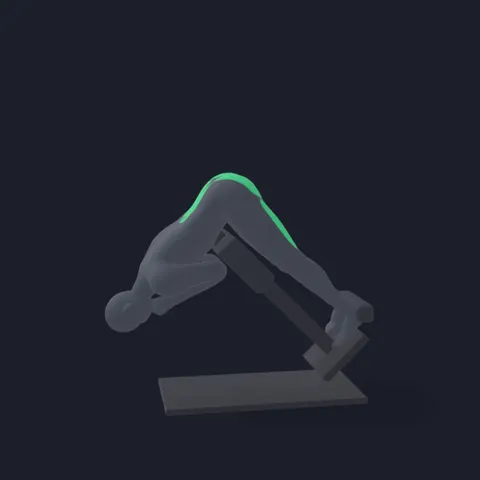 Back Extension demo