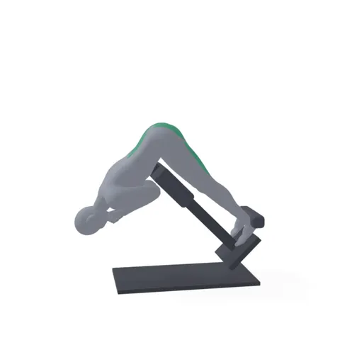 Back Extension demo