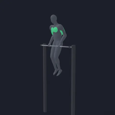 Bar Muscle-Up demo