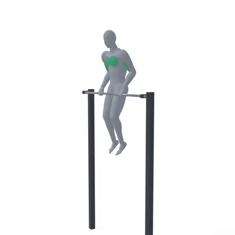 Bar Muscle-Up demo