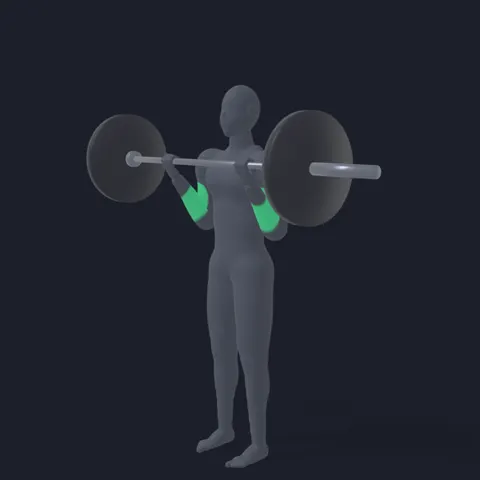 Barbell Curl demo