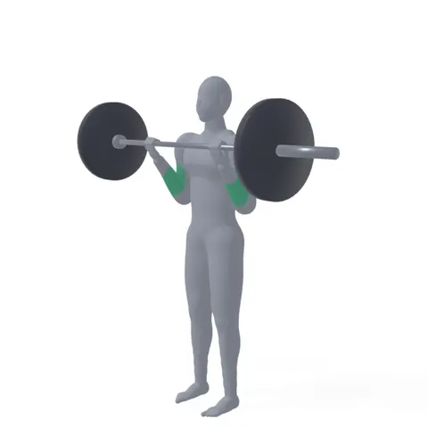 Barbell Curl demo
