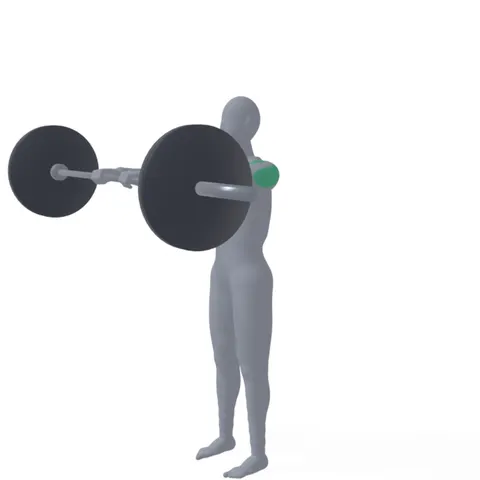 Barbell Front Raise demo