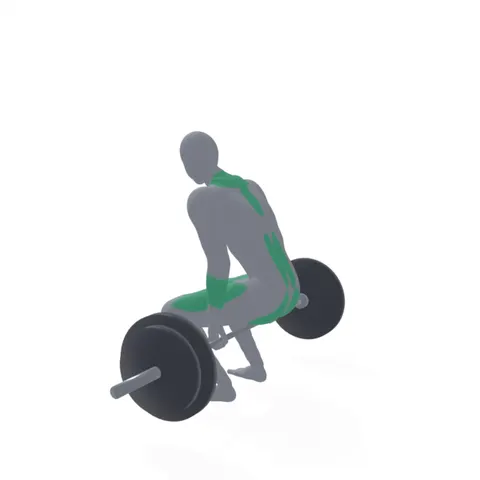 Barbell Hack Squat demo