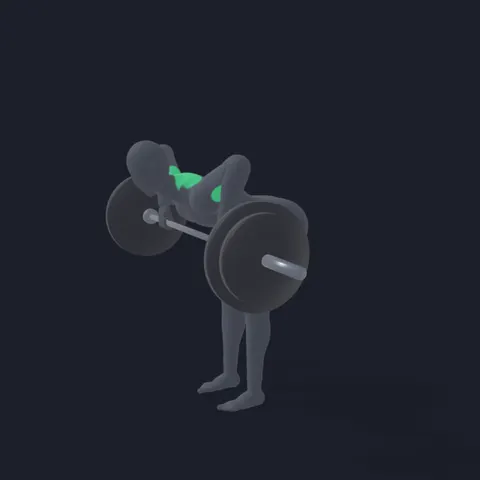 Barbell Rear Delt Row demo