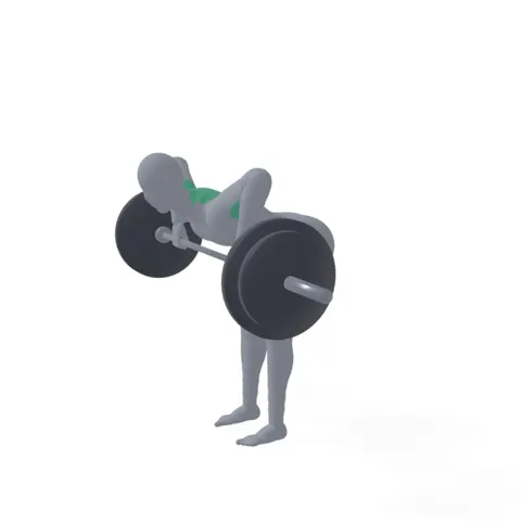 Barbell Rear Delt Row demo