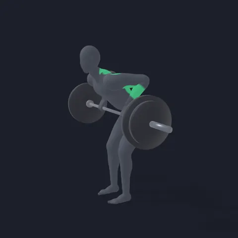 Barbell Row demo
