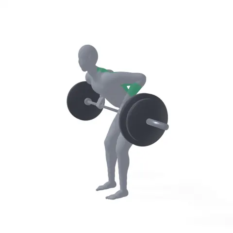 Barbell Row demo