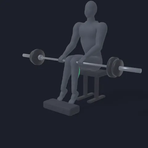 Barbell Seated Calf Raise demo