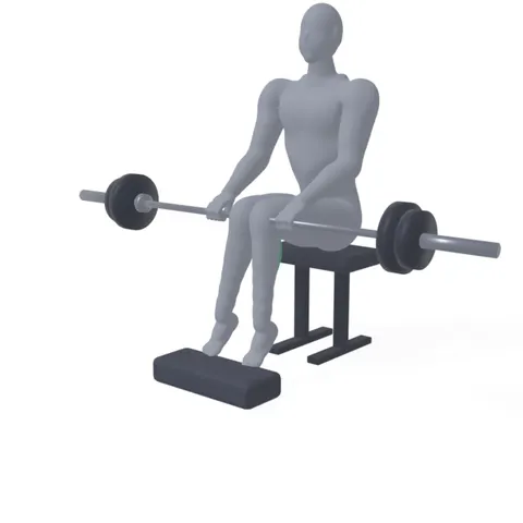 Barbell Seated Calf Raise demo