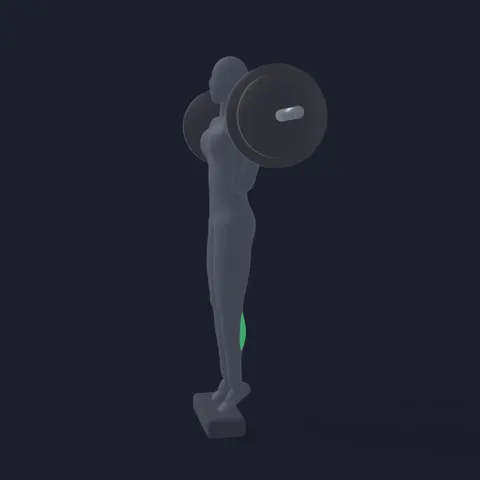 Barbell Standing Calf Raise demo