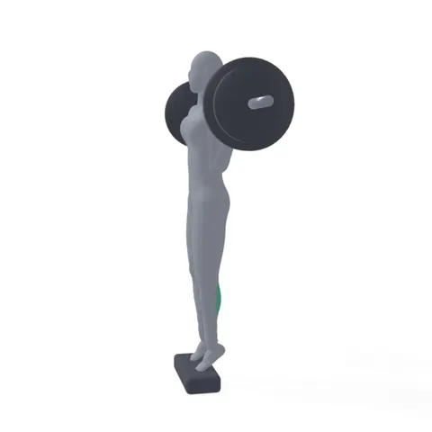 Barbell Standing Calf Raise demo