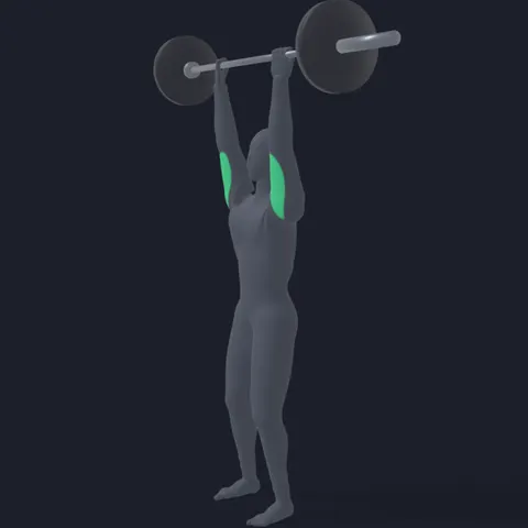 Barbell Standing Triceps Extension demo