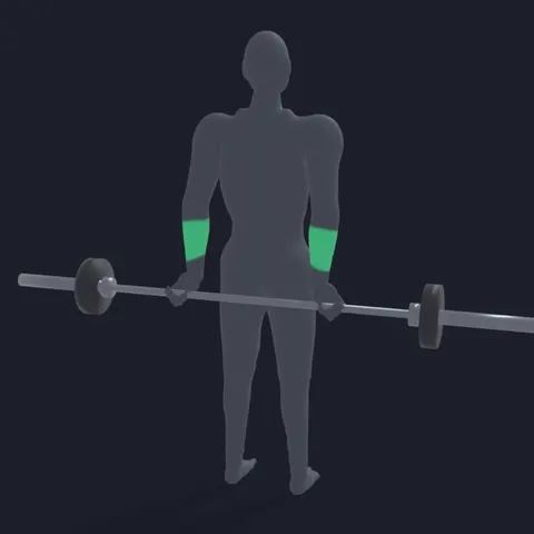 Barbell Wrist Curl Behind the Back demo