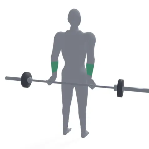 Barbell Wrist Curl Behind the Back demo