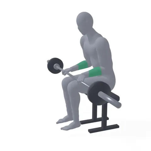 Barbell Wrist Extension demo