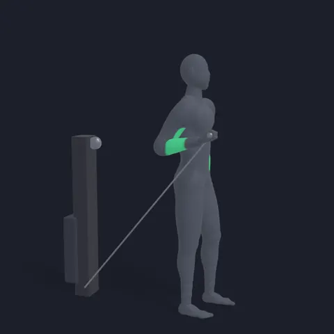Bayesian Curl demo