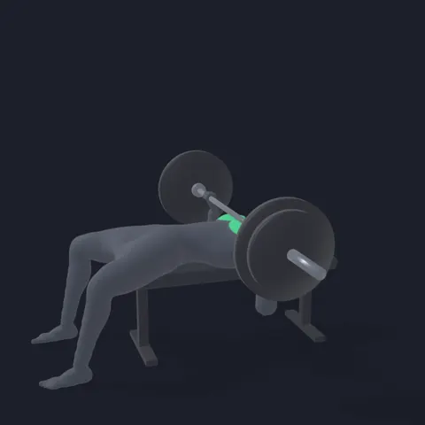 Bench Press demo