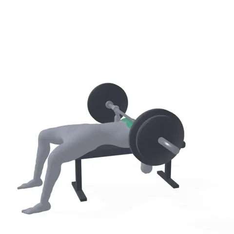 Bench Press demo