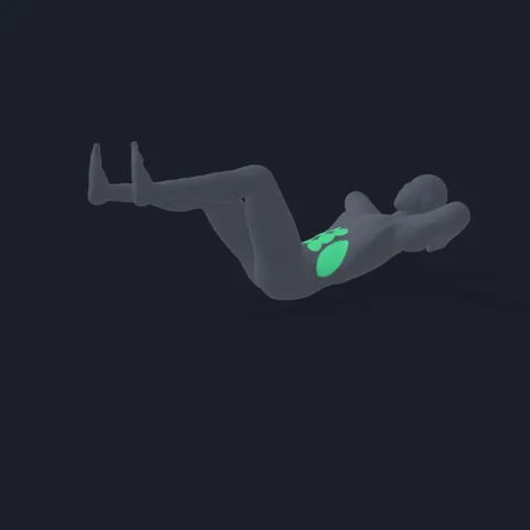 Bicycle Crunch demo