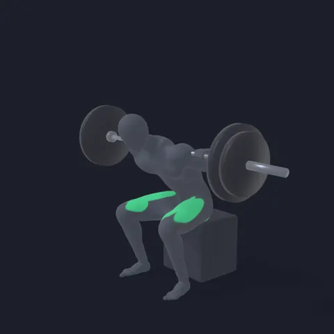 Box Squat demo