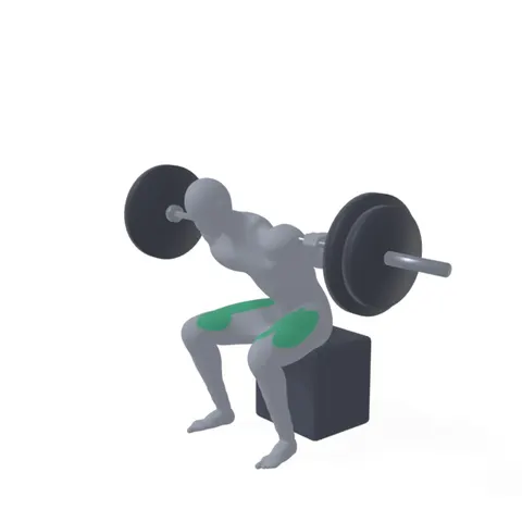 Box Squat demo