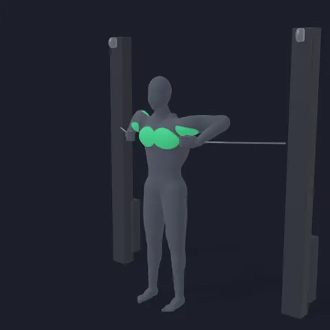 Cable Chest Press demo