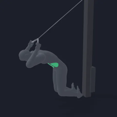 Cable Crunch demo