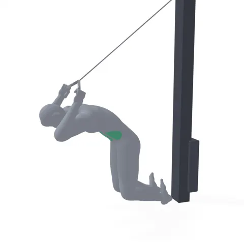 Cable Crunch demo