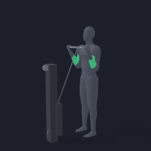 Cable Curl with Bar demo