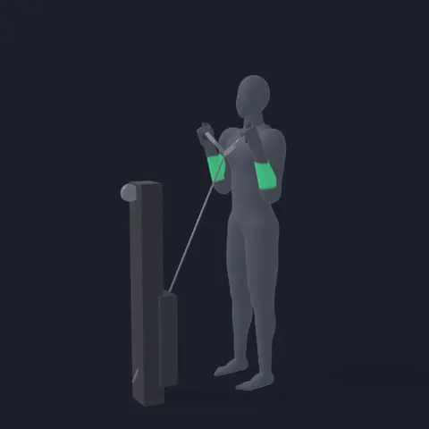 Cable Curl with Rope demo