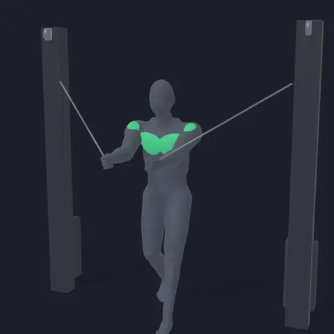 Standing Cable Chest Fly demo