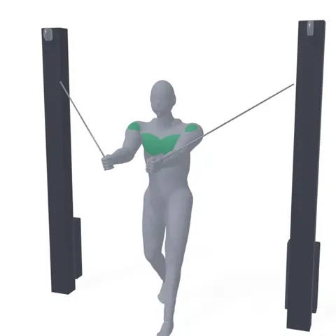 Standing Cable Chest Fly demo