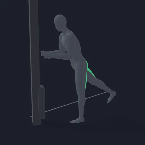 Cable Glute Kickback demo