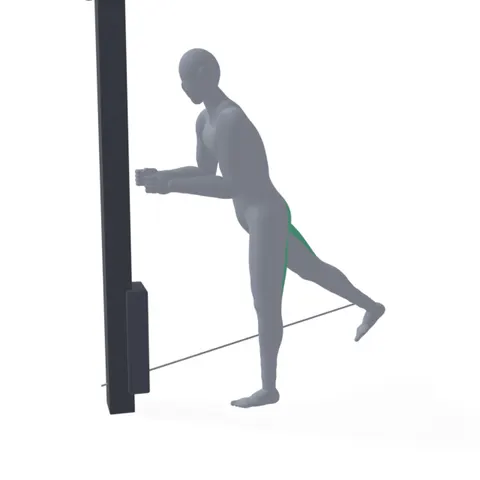 Cable Glute Kickback demo