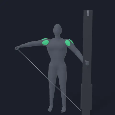 Cable Lateral Raise demo