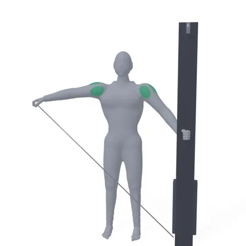 Cable Lateral Raise demo