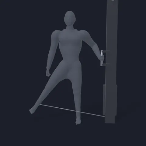 Cable Machine Hip Abduction demo