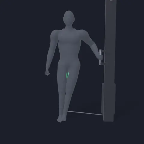 Cable Machine Hip Adduction demo