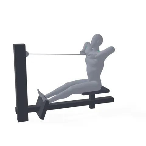 Cable Rear Delt Row demo