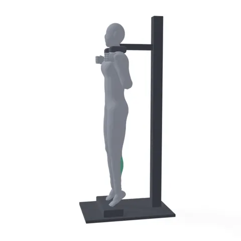 Standing Calf Raise demo