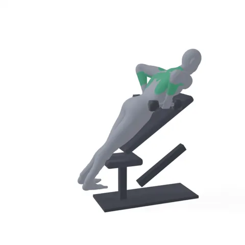 Chest-Supported Dumbbell Row demo