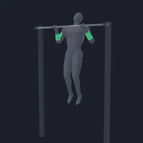 Chest to Bar demo