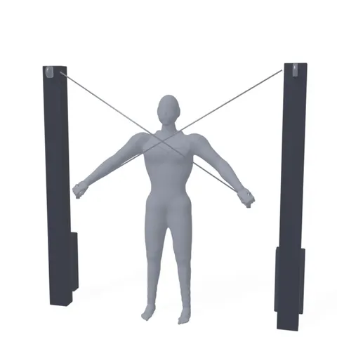 Crossbody Cable Triceps Extension demo