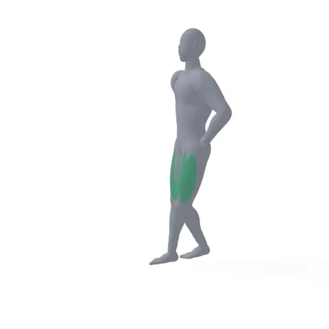 Curtsy Lunge demo