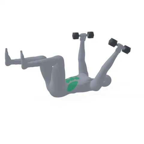 Dead Bug with Dumbbells demo