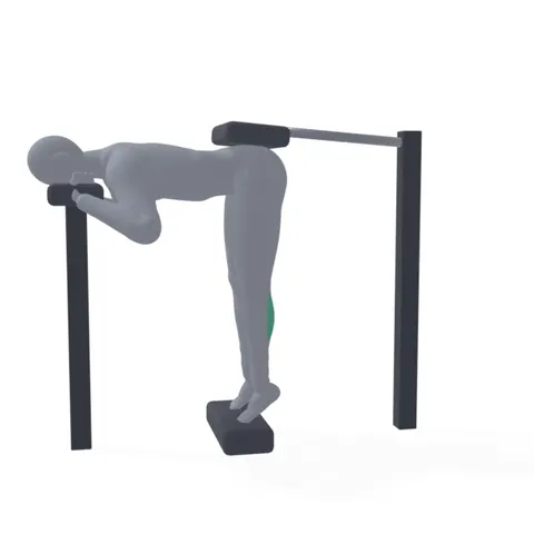 Donkey Calf Raise demo