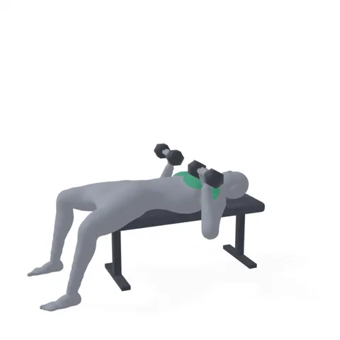 Dumbbell Chest Press demo
