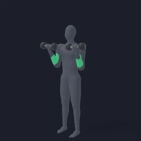 Dumbbell Curl demo